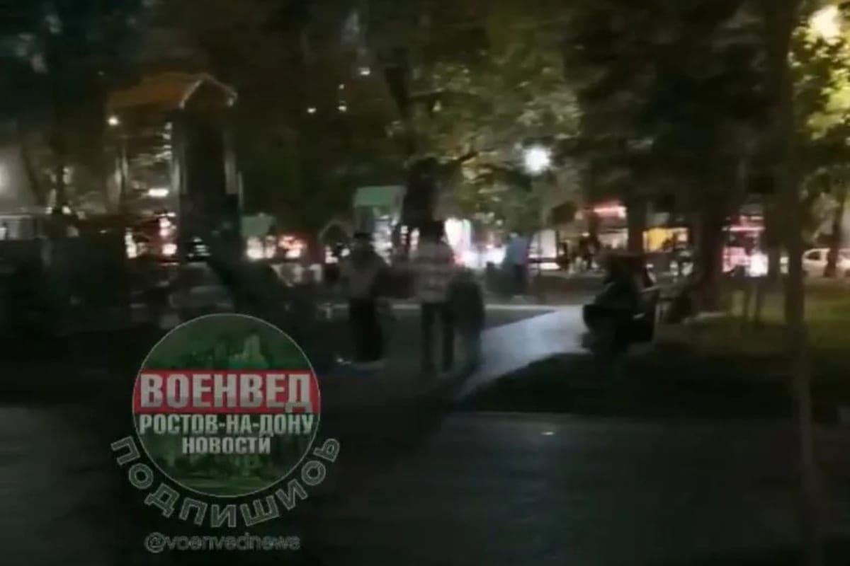 Жители Ростова попросили восстановить освещение в сквере Оганова
