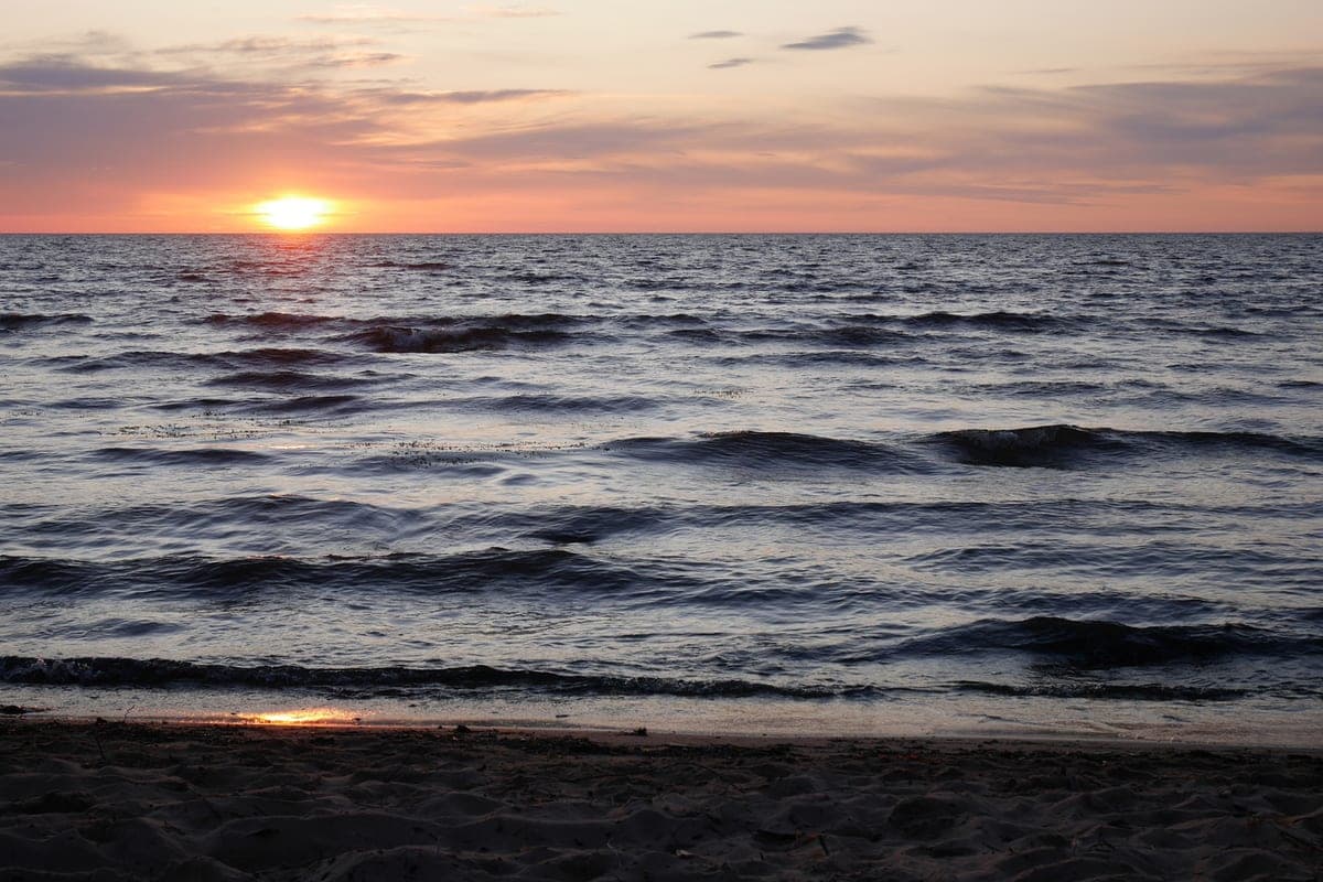 More than a thousand tons of fish were mined in the Vologda region this year