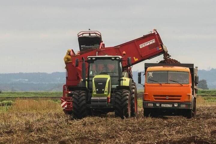 Agricultural complex of Kostroma region increased production by 7%
