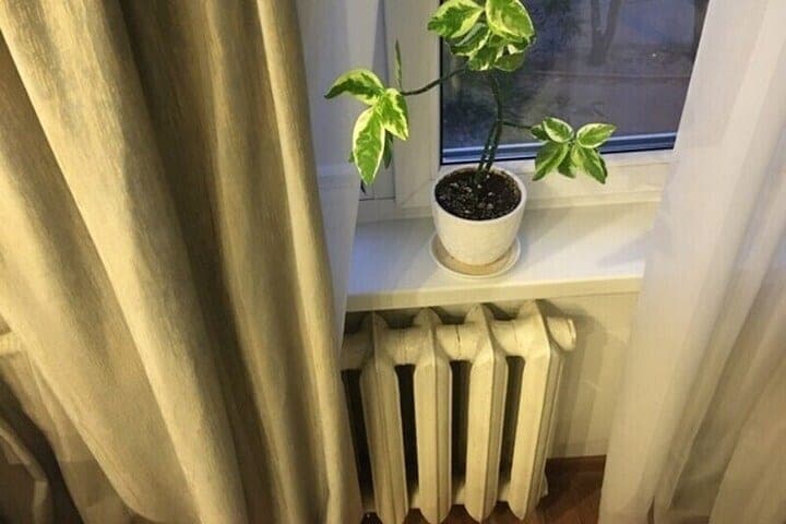 The mayor of Voronezh said why not include heating