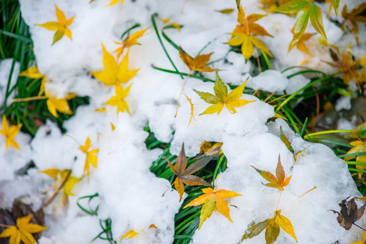 In Krasnoyarsk, wet snow and ice are expected on Thursday