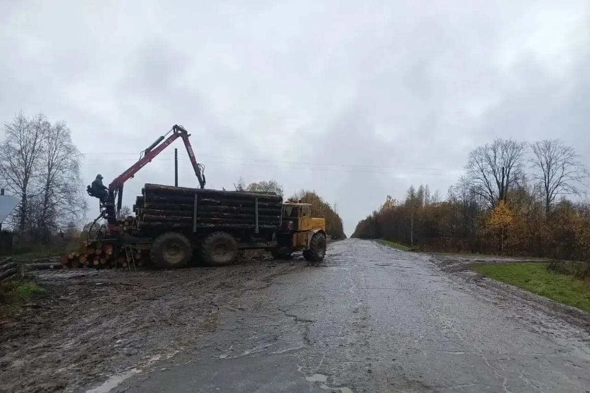In the Yaroslavl region punished logger, flooded with logs rural road