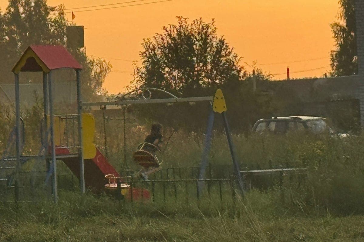 +14 degrees and the sun is expected in Saransk on October 20