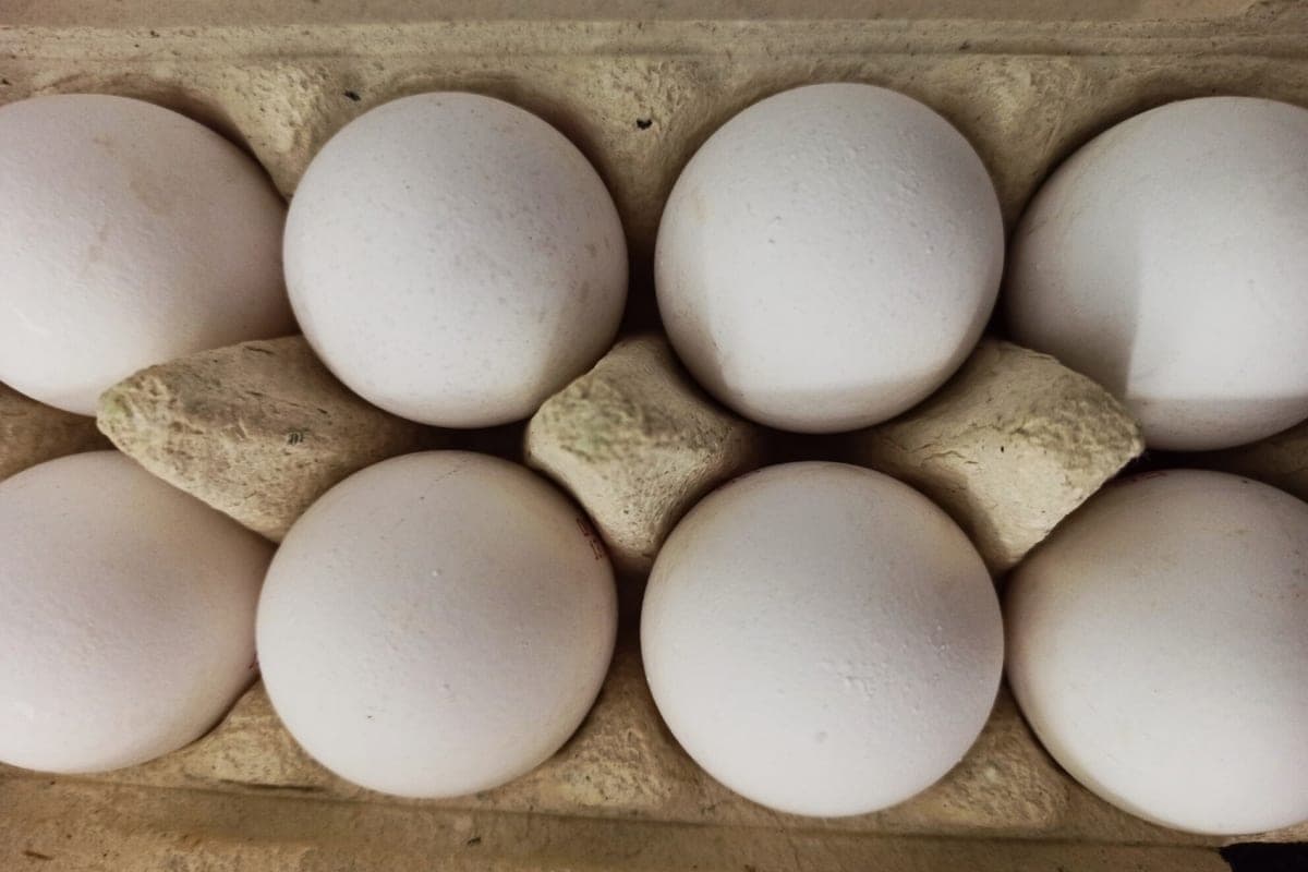 The rise in price of tomatoes and eggs recorded in the Ivanovo region