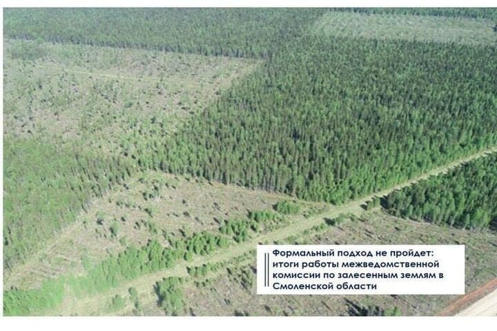 В Смоленской области рабротает комиссия Россельхознадзора по зарастанию земель сельхозназначения