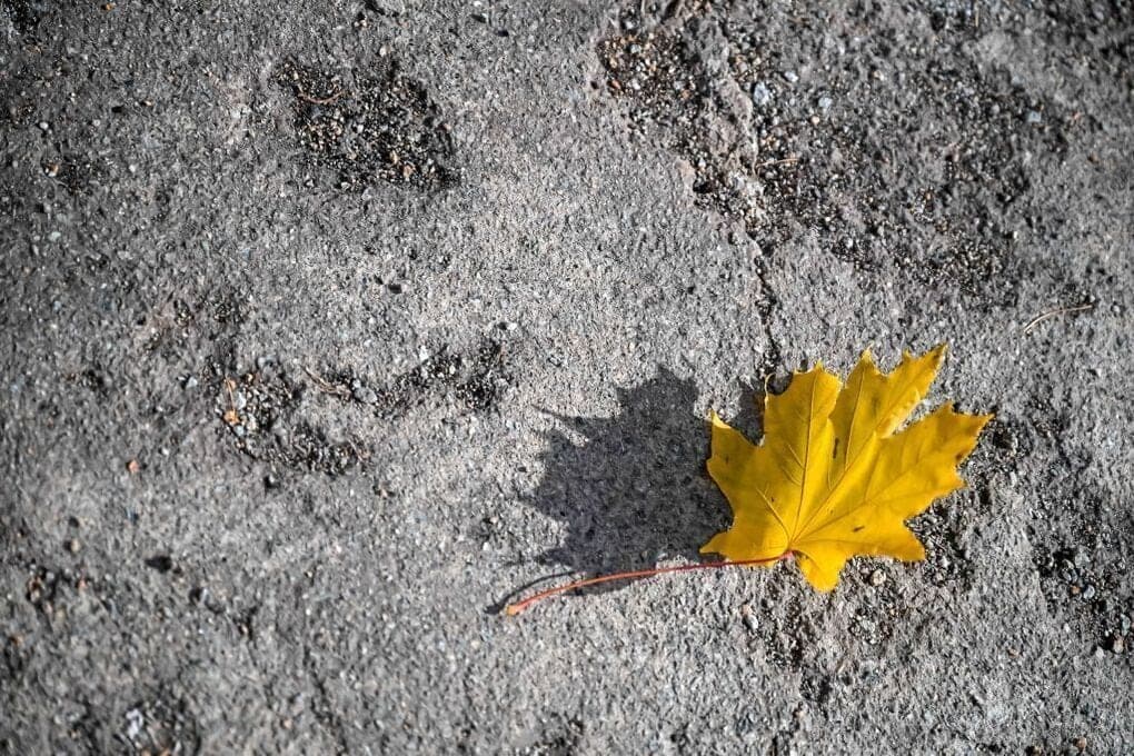 Without precipitation and up to +11 degrees will be on Thursday in the southern Urals