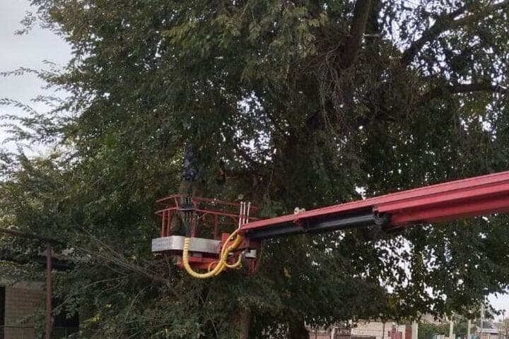 In the Dagestani village of Tarumovka clear the highways of power lines from vegetation