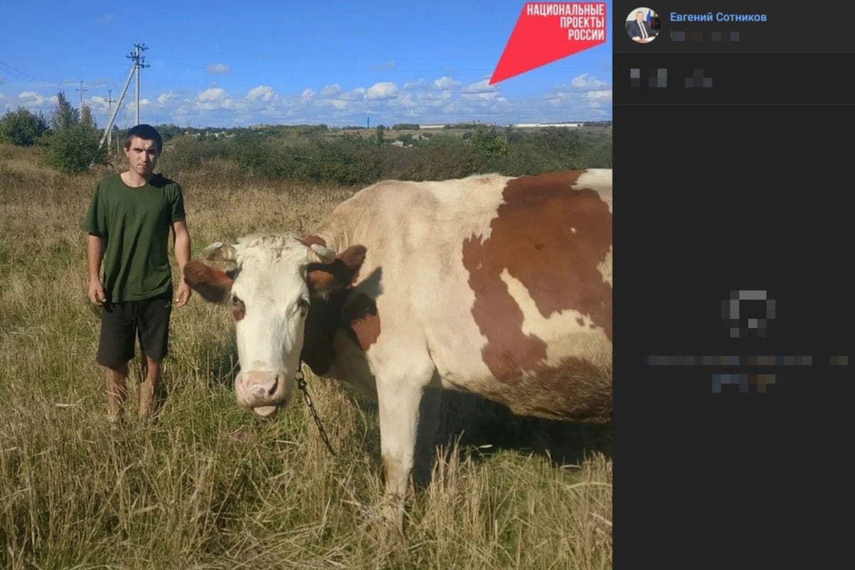 Belgorodets has established the sale of milk and beef under the social contract