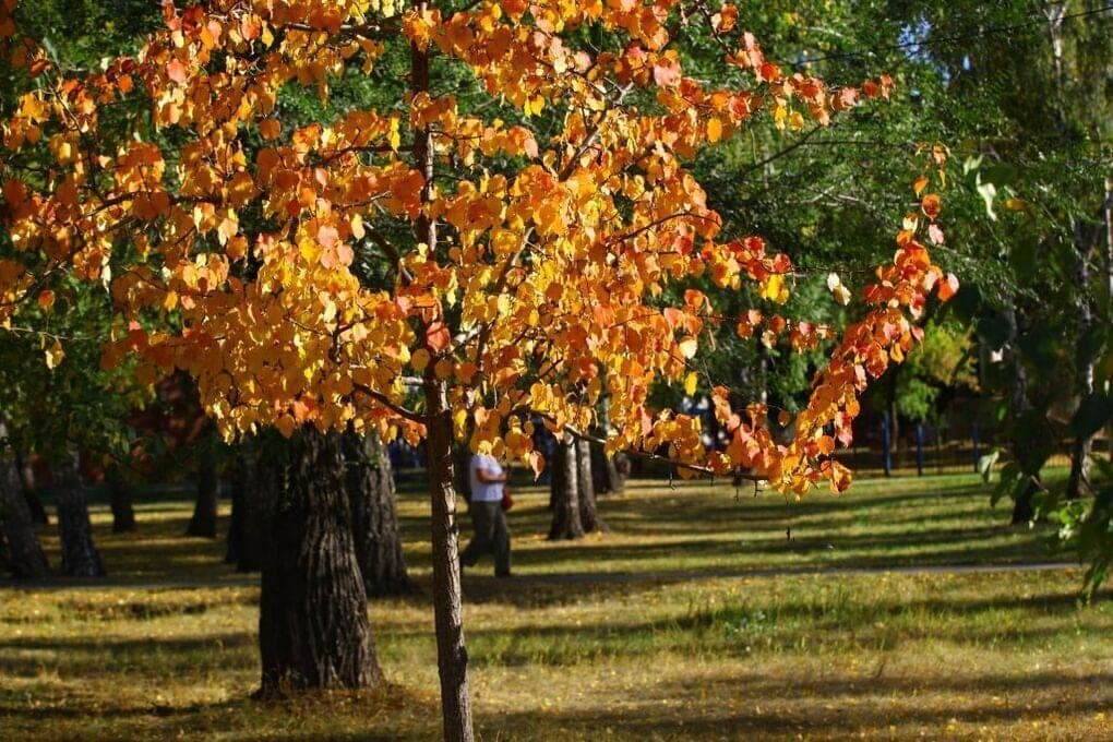 Bis zu 17 Grad und fast ohne Regen werden am Sonntag im südlichen Ural sein