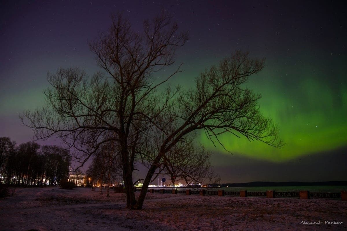 Where to look for the Northern Lights this autumn? Expert advice