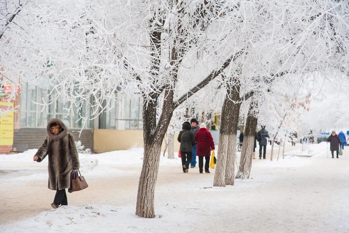 December 2026 in the Volgograd region will be abnormally warm