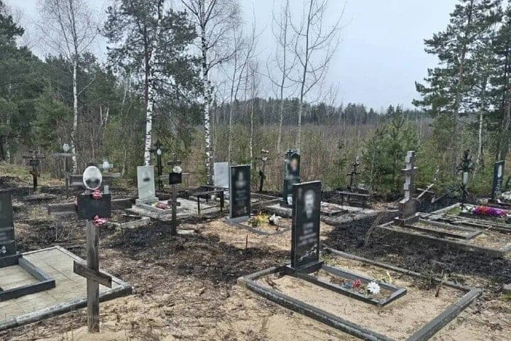 Подрядчика для расширения Стригинского кладбища нашли с пятой попытки