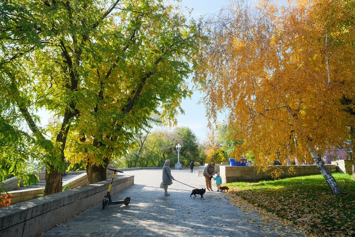 Magnetischer Sturm bedroht die Wolgograd-Region am 17. Oktober nicht