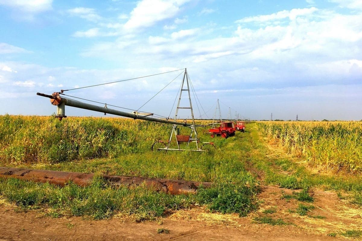 Rosselkhoznadzor revealed violations in the use of pesticides in the Saratov region
