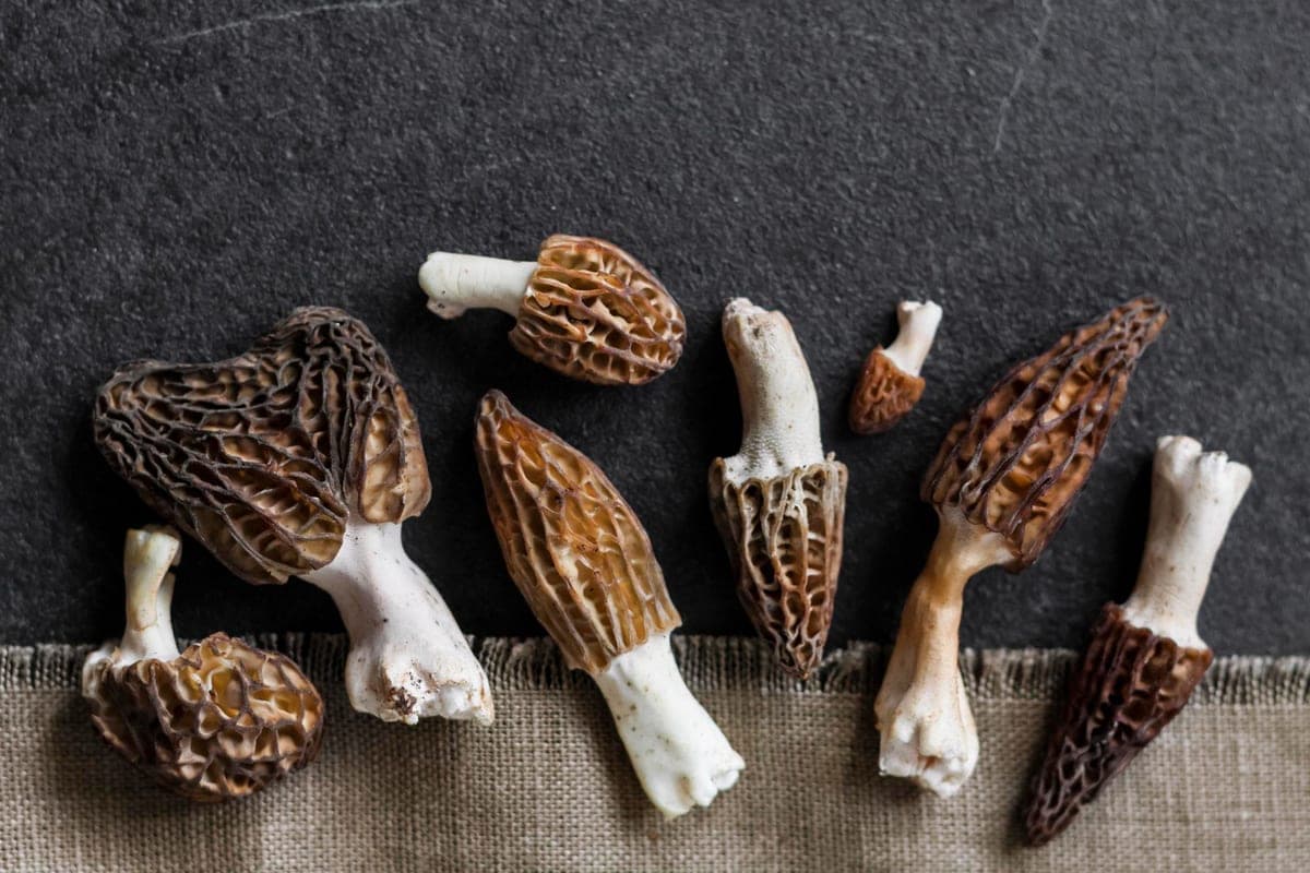 “In the States for this is jailed!”: the American was shocked by Russian morels, but she asked for supplements