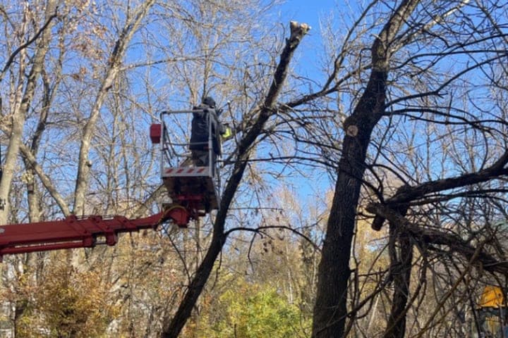In Penza in the Western clearing removed emergency trees