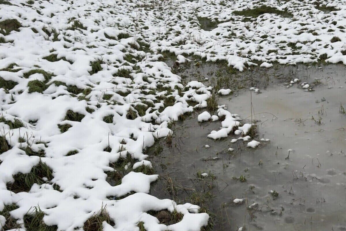 Wet snow and ice are expected in the Murmansk region on October 18