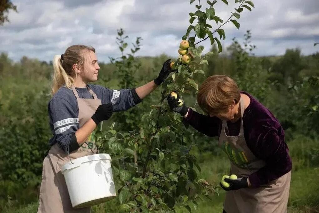 Mikhail Vedernikov congratulated farmers of the Pskov region on their professional holiday