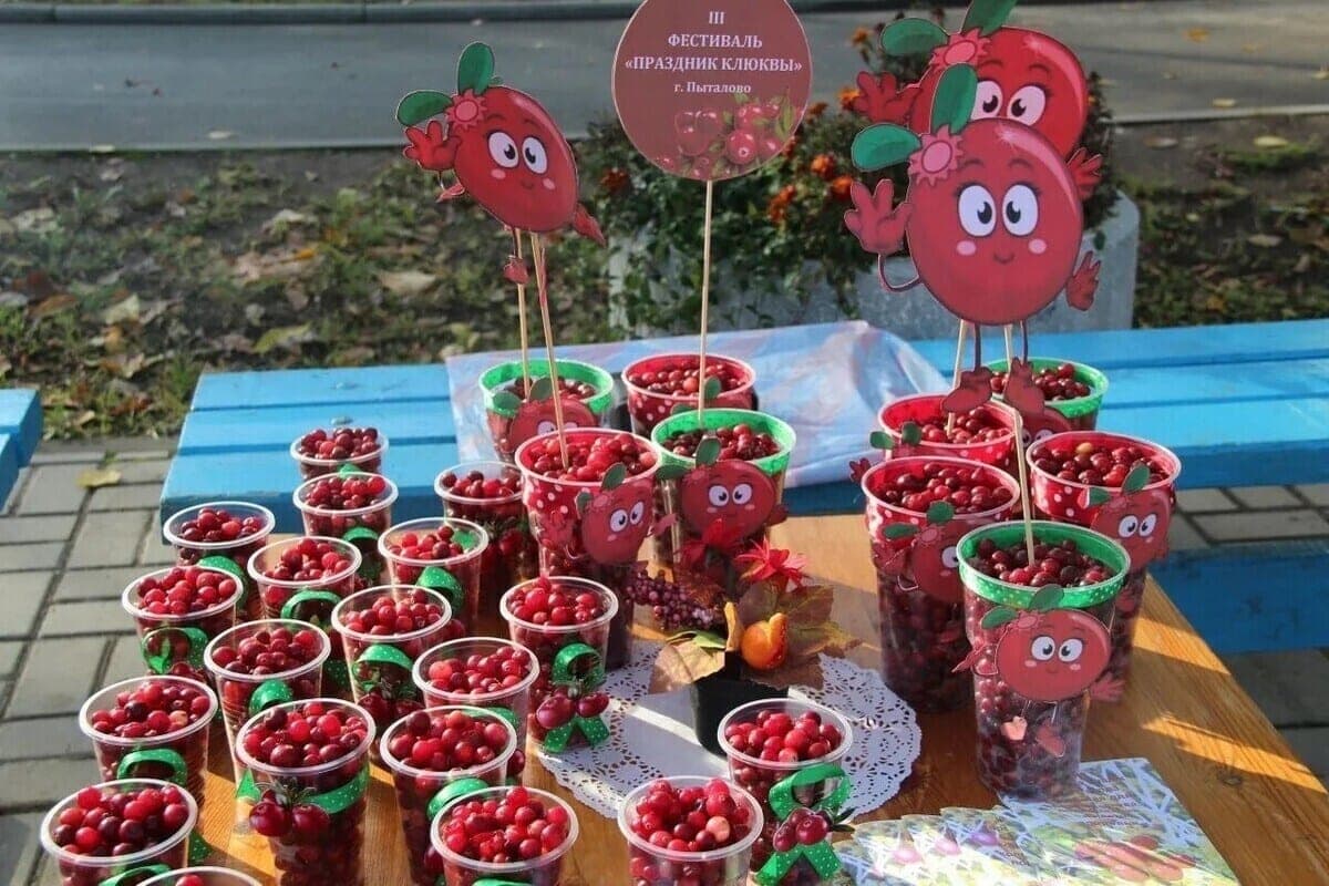 In Prytalovo will be held the V festival “Cranberry Festival”