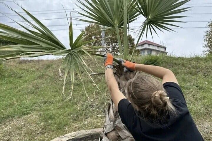 In the Lazarevsky district of Sochi cleaned the embankment and put in order the streets
