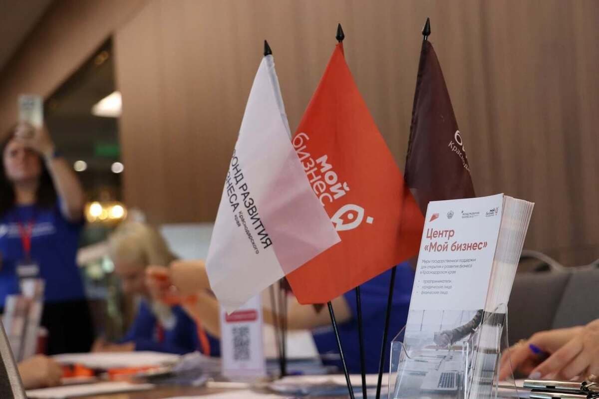 В Геленджике покажут региональные институты поддержки бизнеса