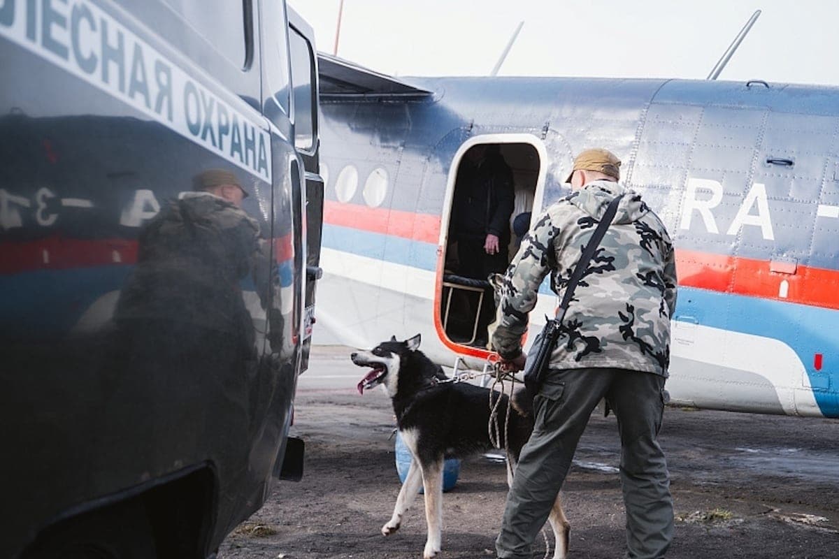 There is only one bear hunter in Zolotitsa, three will leave