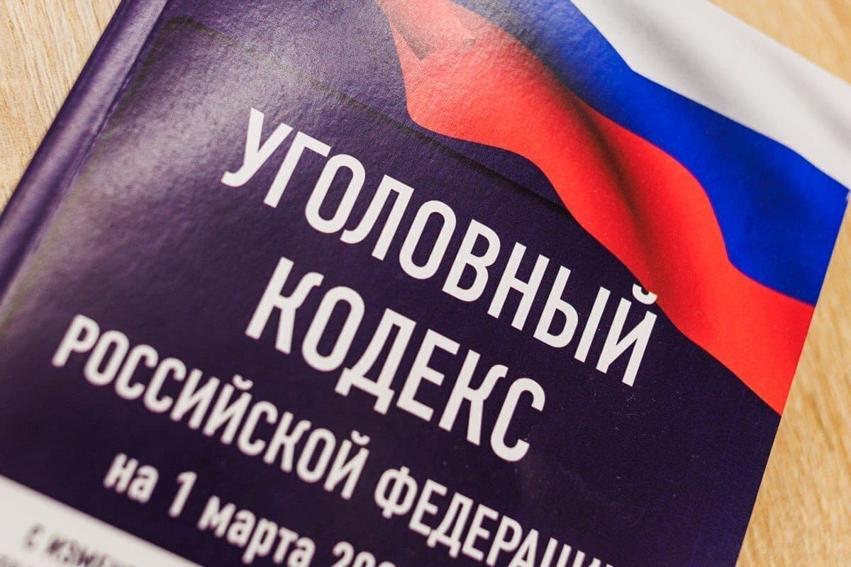 On the South Ural journalist-foreign agent opened a criminal case