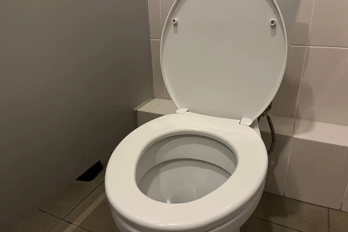 Students of school No. 525 in St. Petersburg were left without toilet paper and soap