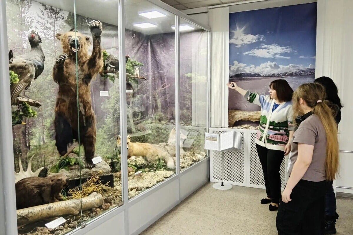 In Severomorsk will create a children’s interactive center about the nature of the Arctic region