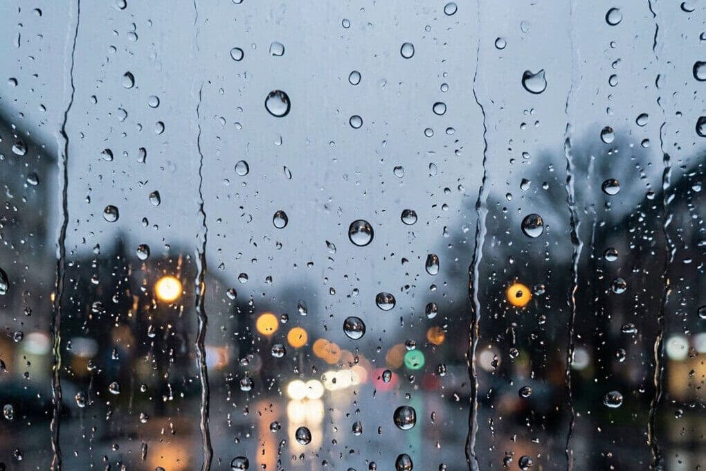 Rains and gusty wind are expected in the Pskov region on October 10