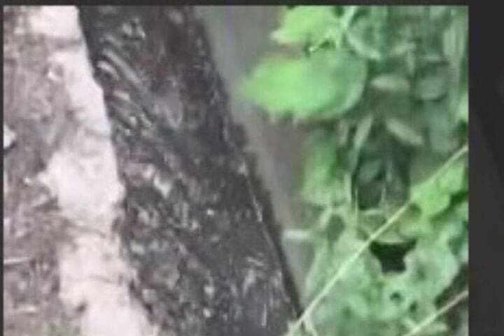 Semkhoz choking: residents sound the alarm because of the drain of sewage near the “Zagorsk Sea”