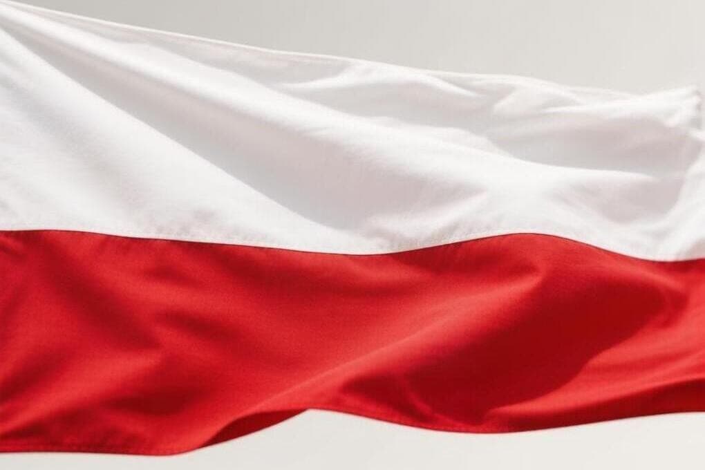 Poland shocked by a series of school attacks: dozens of detainees