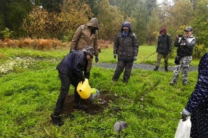 Petrozavodskmash volunteers helped PetrSU Botanical Garden prepare for cold weather