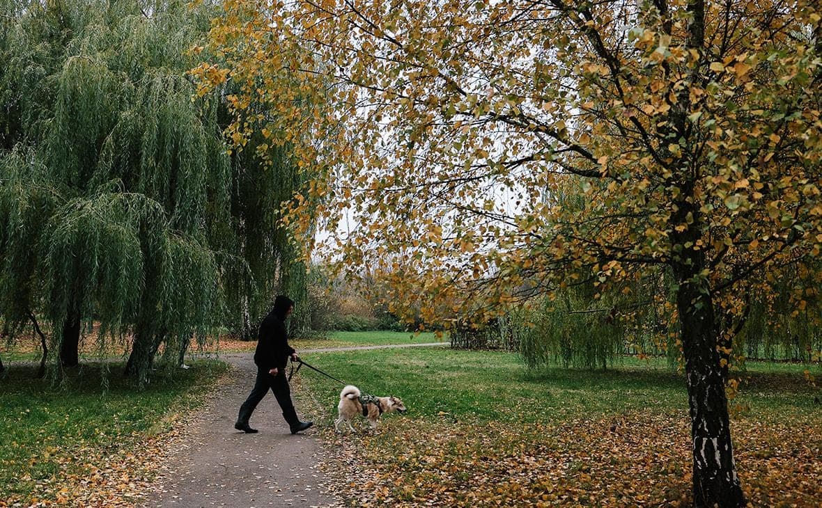 Muscovites promised a golden autumn until the end of October