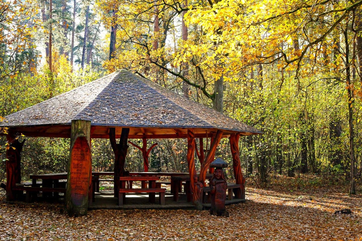 Weather in Belarus October 26: rains and from +5 °C to +15 °C