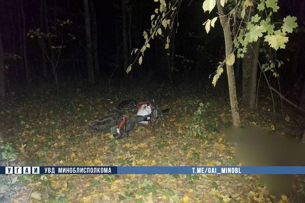 In the Minsk region, a motorcyclist died after a collision with a moose