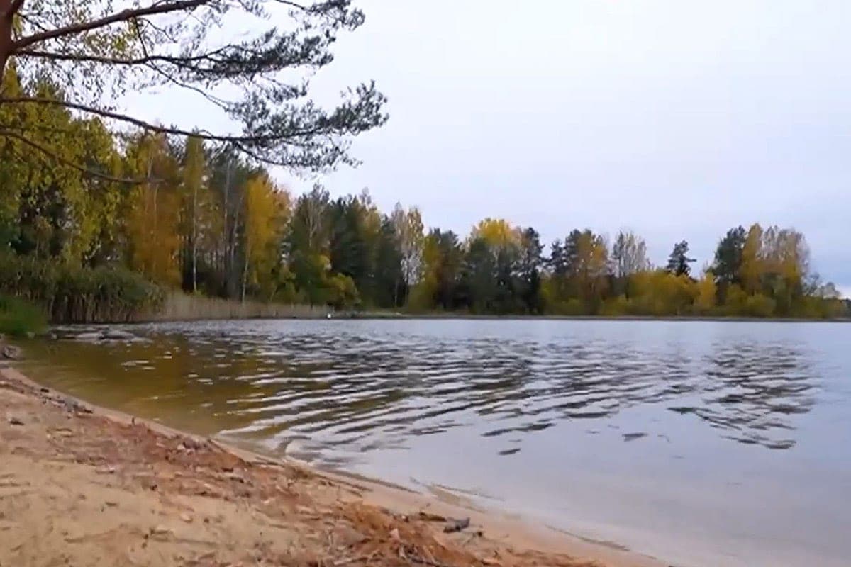 Сохранить природное богатство: как в Беларуси благоустраивают водоемы