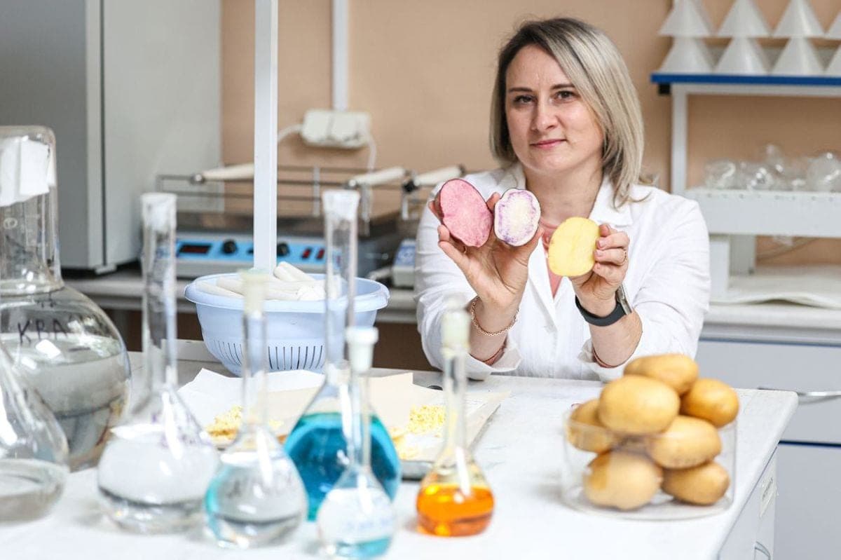Наше всё. Почему картофель — национальный бренд Беларуси