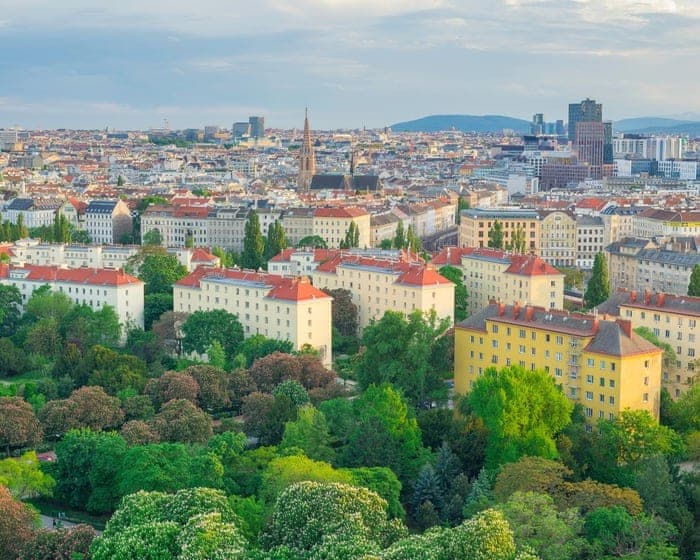 Bring a bottle: Viennese dog owners told to dilute their pets’ urine to protect trees