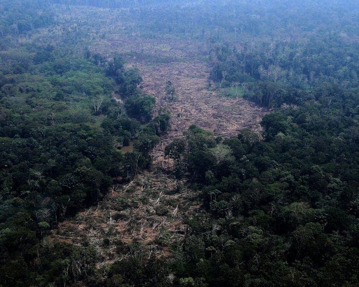 Brazilian Amazon deforestation falls to lowest on record as pivotal vote looms