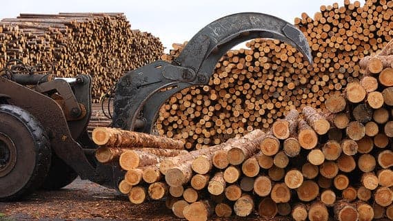Lumber exports from Russia decreased by 18% in nine months