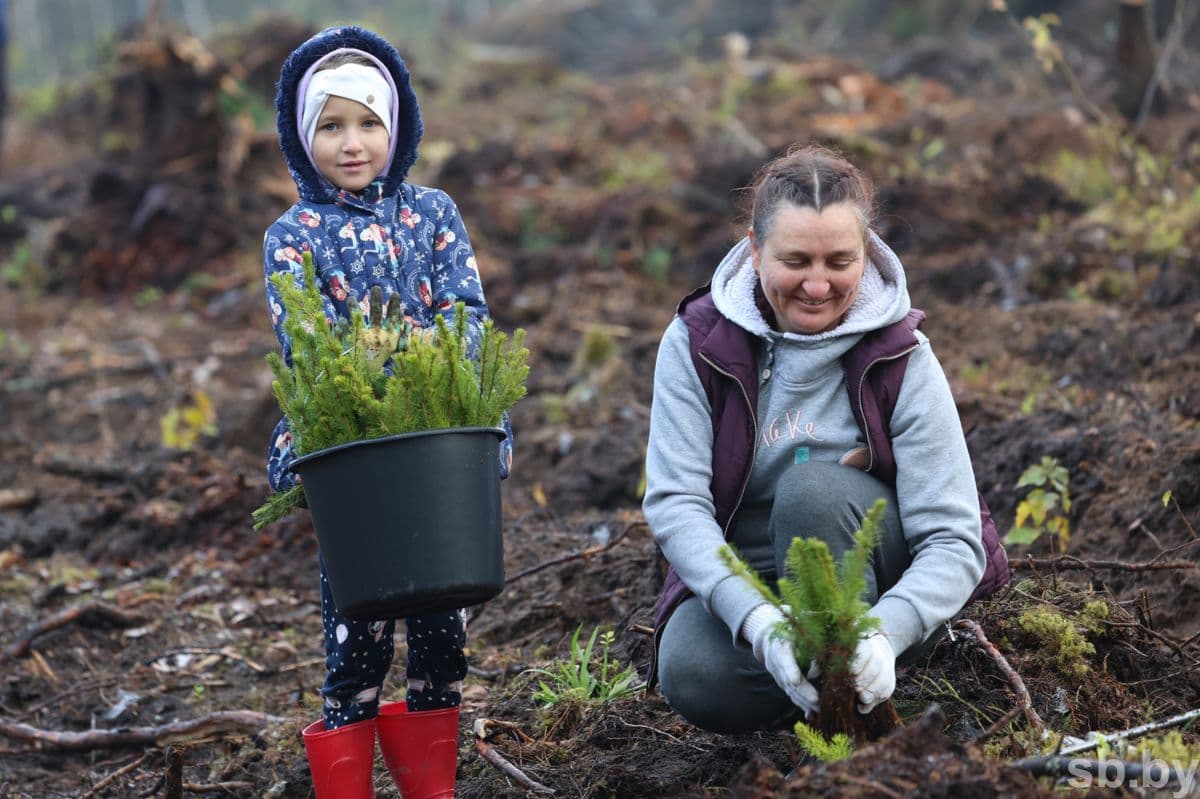 Representative of the Youth Council of the FPB of Belarus Yevgenia Sprut takes part in the republican initiative for the third time. She helped plant a new forest in Mogilev and Gomel regions: