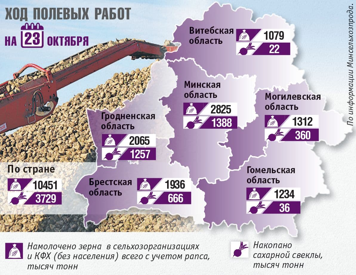 Инфографика Ольги ПАК