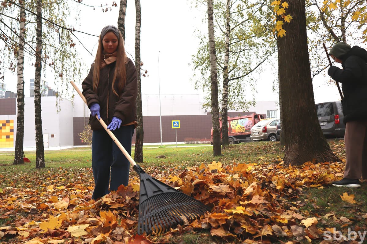 The next city-wide Saturday in Mogilev is scheduled for October 31. Photofact. Autumn Saturday: Minsk schoolchildren clean foliage and restore order