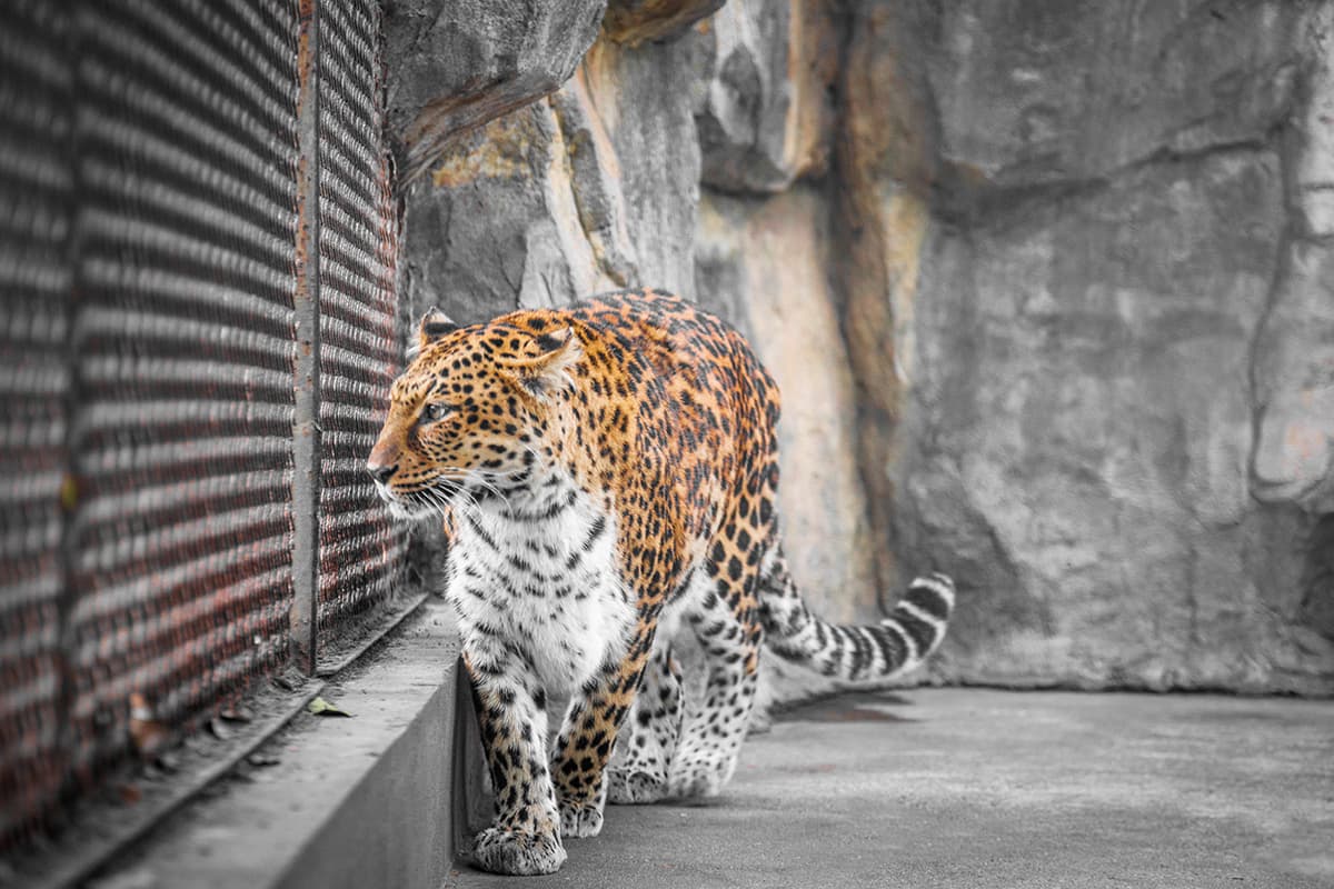 Photo by magnificent