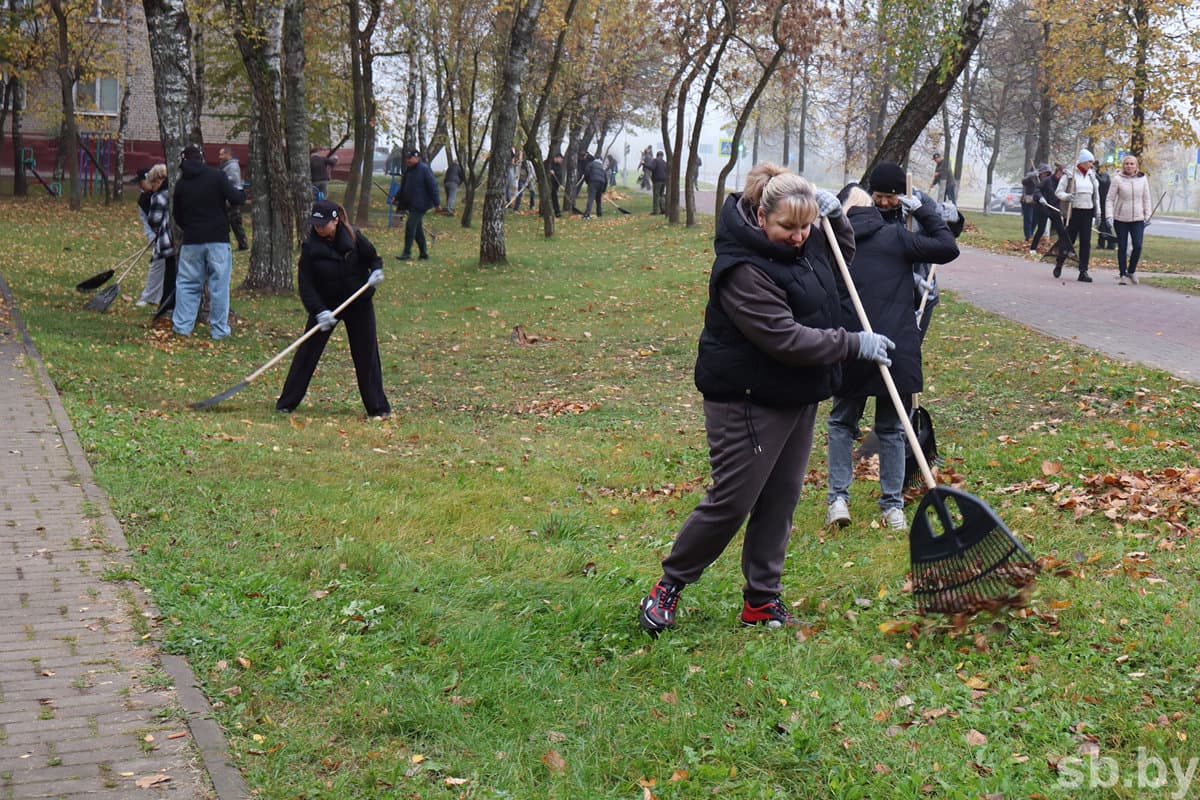More than 50 BRSM representatives removed fallen foliage near residential buildings. All participants were provided with the necessary equipment, and special equipment is involved for garbage removal.