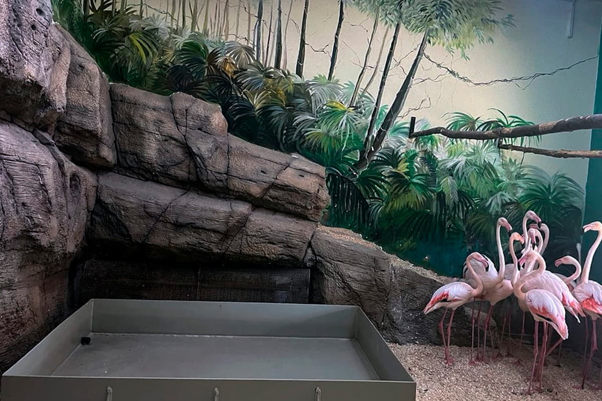 The zoo said: