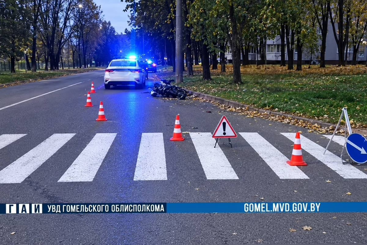 Photo: Telegram channel "State Inspectorate of Gomel region"