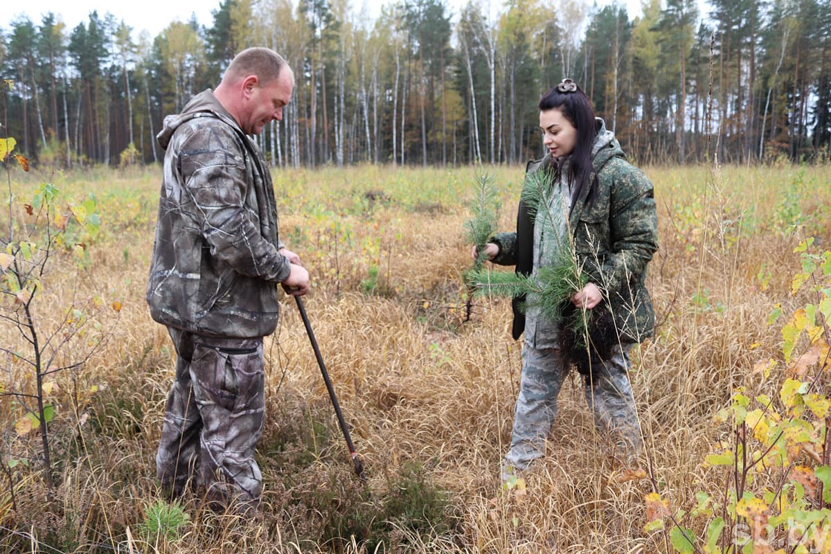 Director of GLHU "Lyakhovichi forestry" Nikolai Gil stressed that the help of labor collectives of the district in the autumn period always comes in handy: