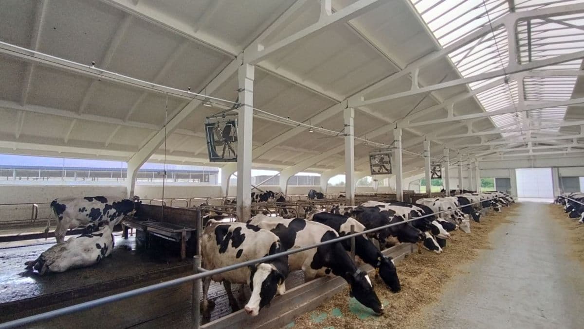 According to the expert, the system is designed to work at a temperature of 25 to 35 degrees.